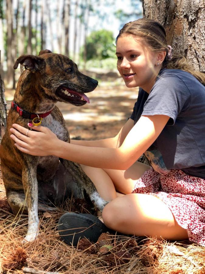 Beach Escape Magnesium Pool Dog Happy Gc Airport Apartamento Gold Coast Exterior foto